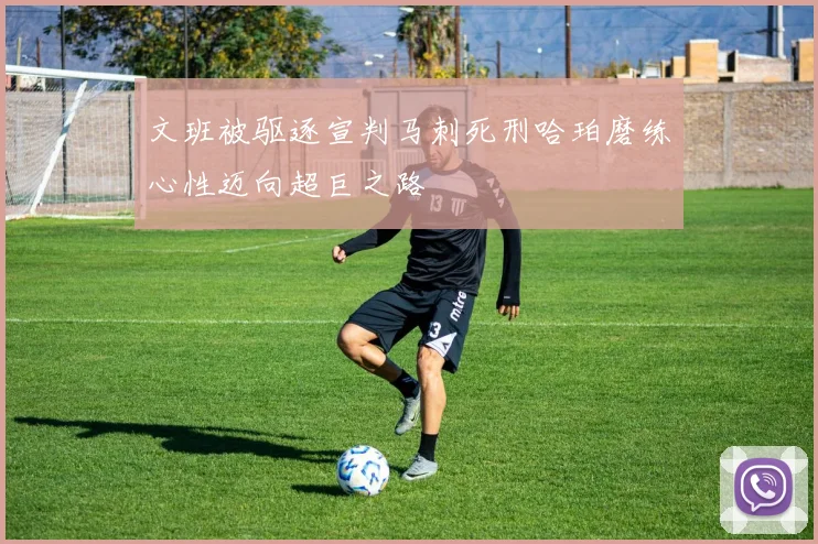 文班被驱逐宣判马刺死刑哈珀磨练心性迈向超巨之路