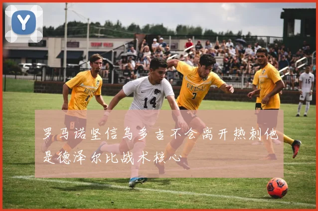 罗马诺坚信乌多吉不会离开热刺他是德泽尔比战术核心
